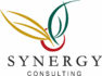 Logo for Synergy Consulting